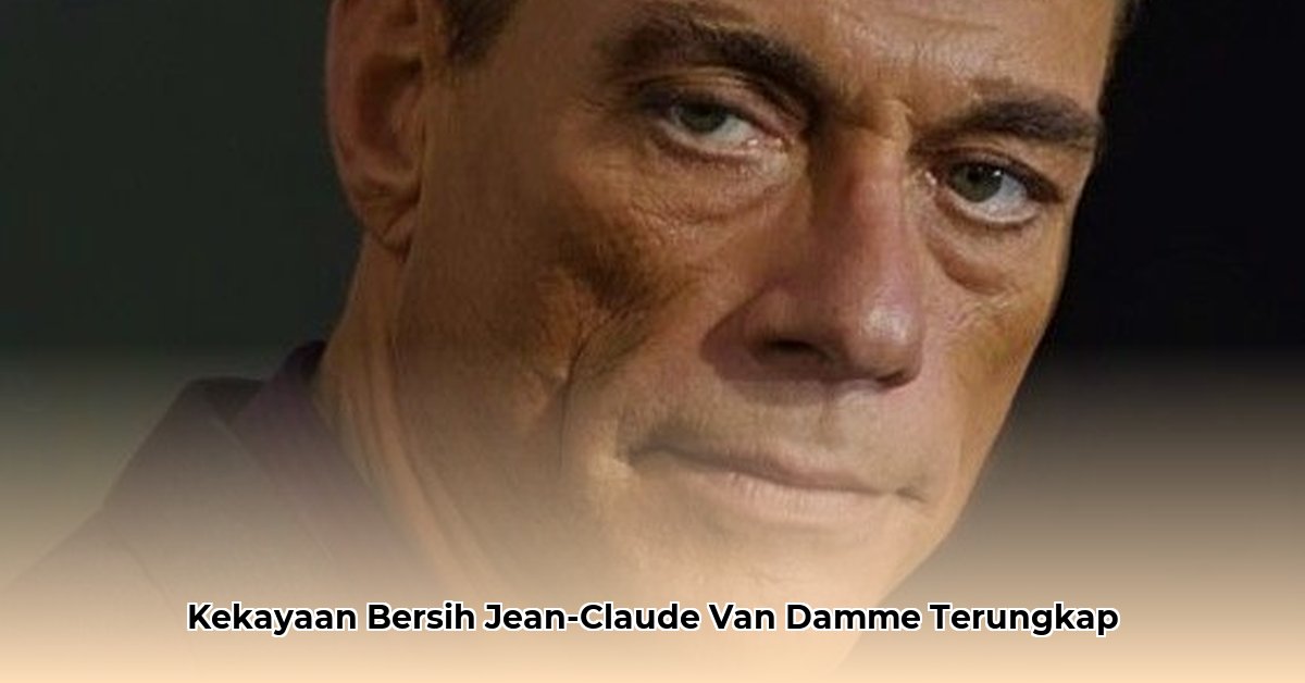 van damme net worth 2023